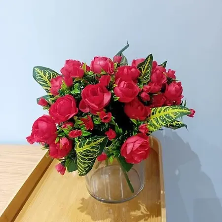 Apartman Road Blloku Area