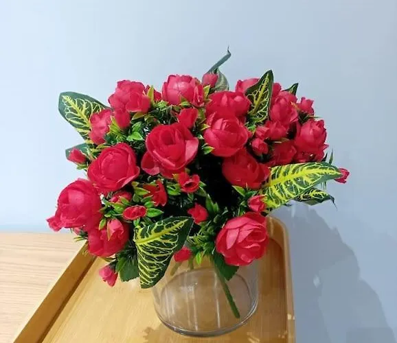 Appartamento Road Blloku Area